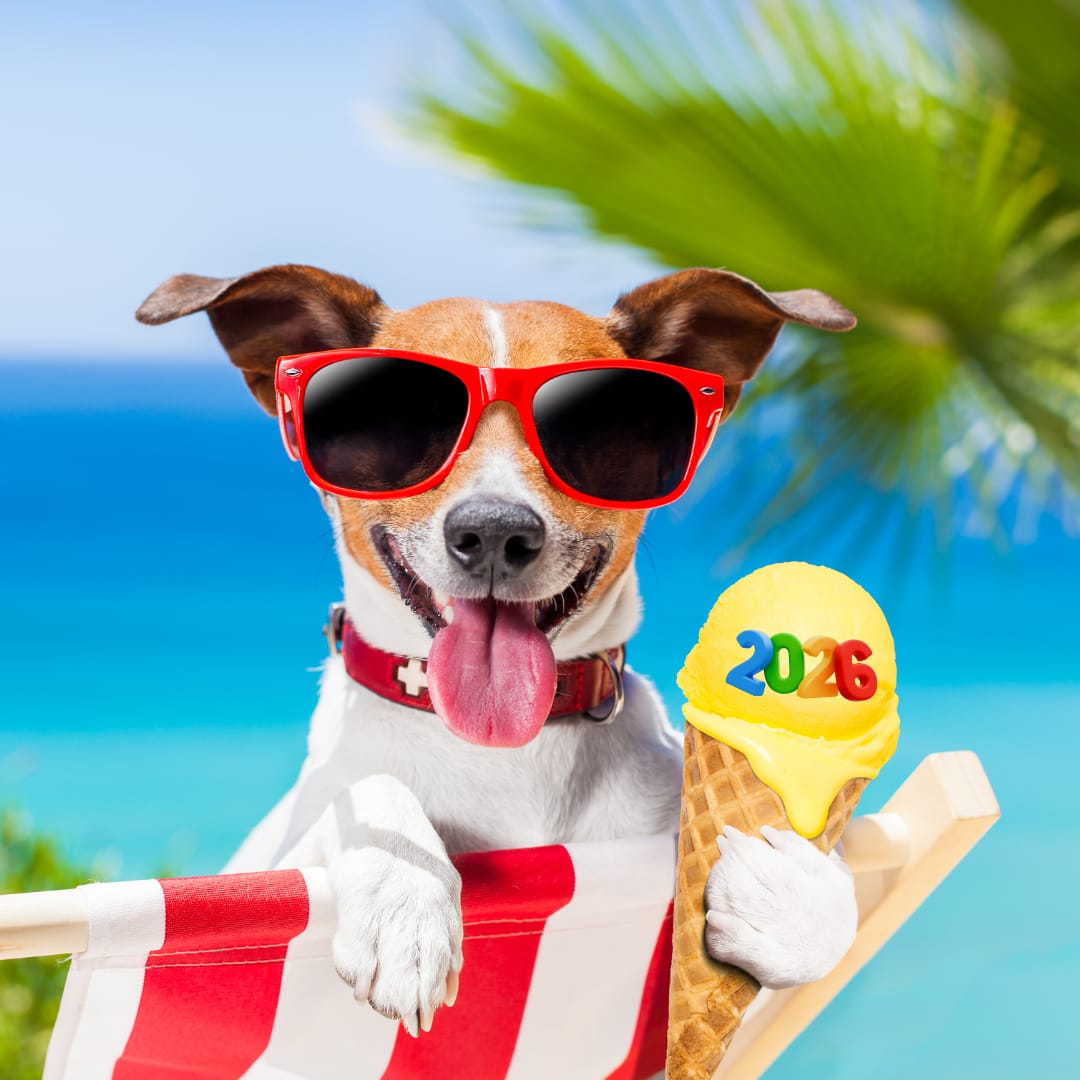 Verano2026! 😎🏖