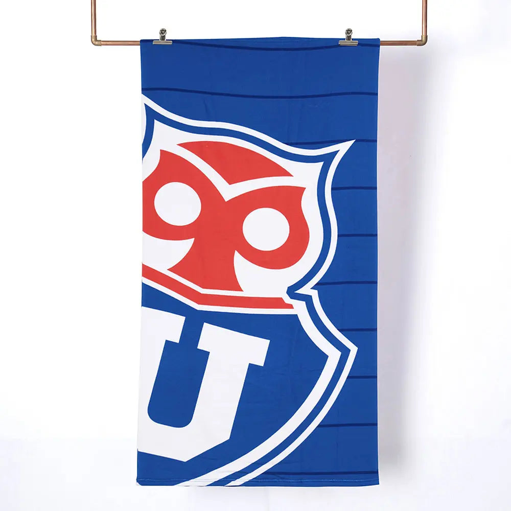 ⭐TOALLA DE PLAYA INFANTIL 70x140CM + BOLSO ORIGINAL CALIDAD MICROFIBRA⭐